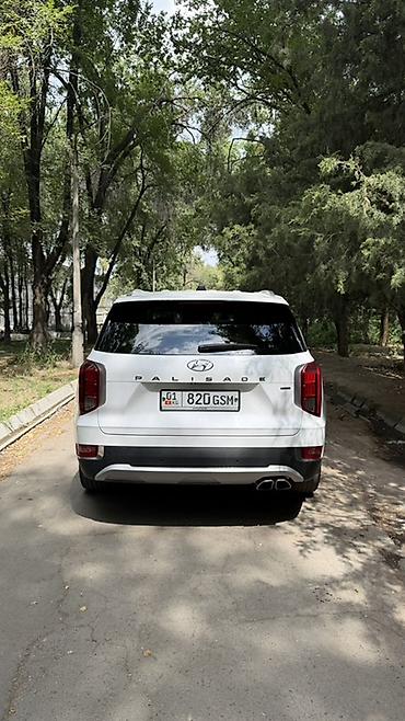 азия пелес: Hyundai Palisade: 2020 г., 3.8 л, Автомат, Бензин, Кроссовер — 3