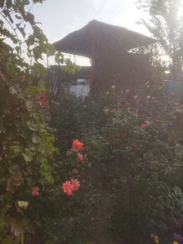 Продажа домов: Дом, 220 м², 7 комнат, Евроремонт at lalafo.kg — 15 Продажа домов: Дом, 220 м², 7 комнат, Евроремонт — 15