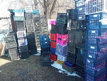 Ящики: Пластиковый Ящик — 26