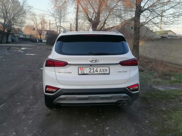 Hyundai: Hyundai Santa Fe: 2019 г., Кроссовер — 24