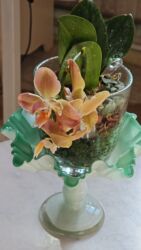 измельчитель садовый: Продаю ОРХИДЕИ.Все сортовые. Звонить на телефон