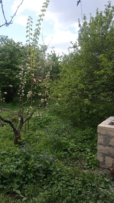 Günlük kirayə evlər: 150 kv. m, 4 otaqlı, Kombi, Qaz, İşıq — 14