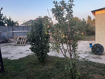 седьмое небо: Продаю дом с магазином угловой участок участок Размером 7 соток все — 9