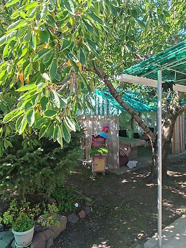 Аренда коттеджей и домов на Иссык-Куле: Коттедж, Чолпон-Ата, 2 места — 12