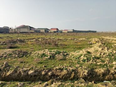 Torpaq sahələrinin satışı: 6 sot, Kənd təsərrüfatı, Mülkiyyətçi, Kupça (Çıxarış)