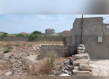 Torpaq: 20 sot, Mülkiyyətçi, Kupça (Çıxarış) — 4