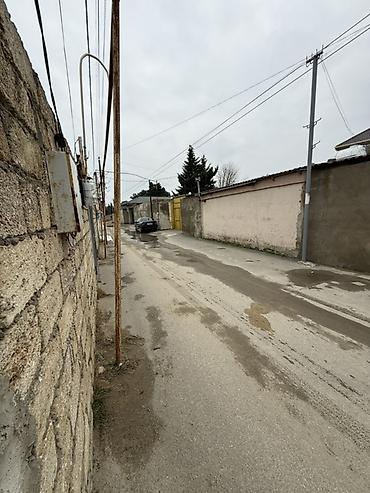 ayna sultanova kiraye ev: Buzovna, Vişnovka ərazisində 2 otaqlı həyət evi kirayə verilir. Tezə — 10