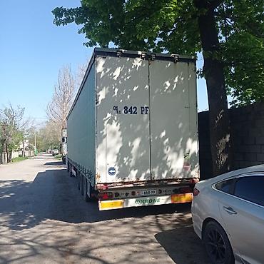 магнум: Тягач, Renault, 2008 г., Тентованный — 3