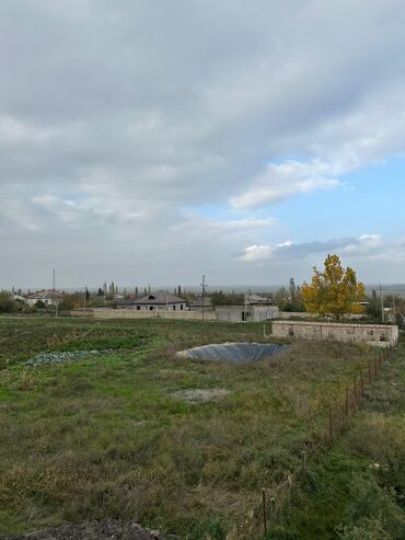 Torpaq sahələrinin satışı: 50 sot, Biznes üçün, Barter mümkündür, Kupça (Çıxarış) — 6