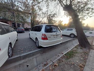 dodge caravan: Honda Odyssey: 2000 г., 2.3 л, Автомат, Бензин, Минивэн — 4