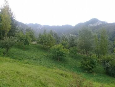 Torpaq sahələrinin satışı: 16 sot, Tikinti, Mülkiyyətçi, Kupça (Çıxarış) — 13