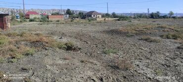 аренда продажа земельных участков: 8 sot, Tikinti, Mülkiyyətçi, Kupça (Çıxarış)