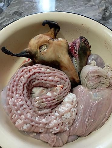мясо на рынке цена: ЭТ БЫШЫРЫП БЕРЕБИЗ. Той, куда точку, кешик,туштондуруу сыяктуу — 3