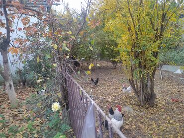 Həyət evləri və villaların satışı: 4 otaqlı, 136 kv. m, Kredit yoxdur, Yeni təmirli — 3