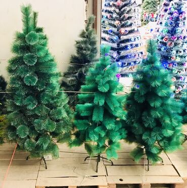 Yeni il ağacları: Yolka satisi teze mallar Endirimde 90 sm-19 man 120 sm-35man 150 — 11