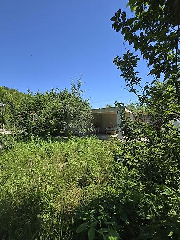 Günlük kirayə evlər: 160 kv. m, 4 otaqlı, İşıq, Su, Kanalizasiya — 23