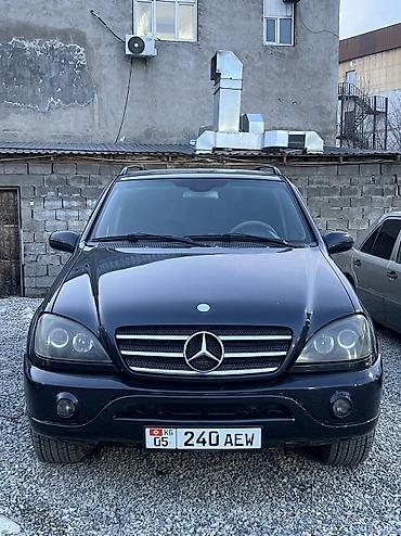 Mercedes-Benz: Mercedes-Benz ML-Class: 2002 г., 4 л, Автомат, Дизель, Кроссовер — 12