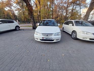 dodge caravan: Honda Odyssey: 2000 г., 2.3 л, Автомат, Бензин, Минивэн — 2