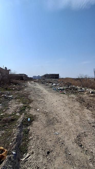 herracda olan evler: 300 sot, Kənd təsərrüfatı, Makler, Kupça (Çıxarış) — 3