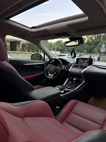 лехус нх: Lexus NX: 2021 г., 2 л, Автомат, Бензин, Внедорожник — 9