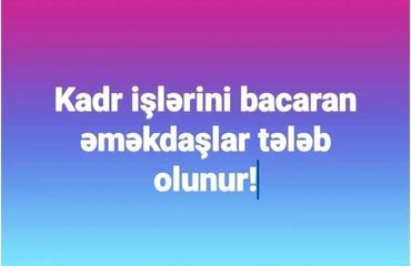 Digər ixtisaslar: Teqaudde olan muhasibleri kamandamiza bizimle emekdasliga devet