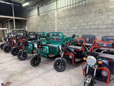 Мотороллеры муравей: Мотороллер муравей Электро, 80 км, 300 - 599 кг, Новый — 12