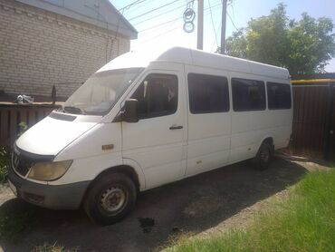 спиринтер рекс: Mercedes-Benz Sprinter: 2000 г., 2.9 л, Механика, Дизель, Бус