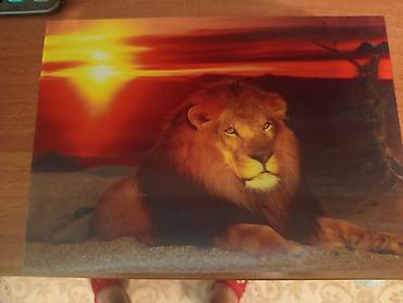 Декор жана интерьер: Продаю картины 3d,или как раньше называли мозаика,она переливается и — 5