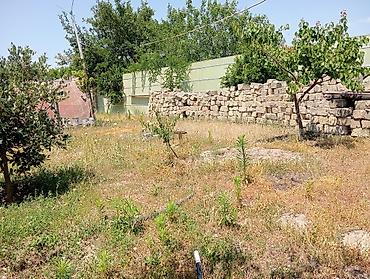 qusarda yer satilir: 6 sot, Tikinti, Makler, Kupça (Çıxarış) — 8