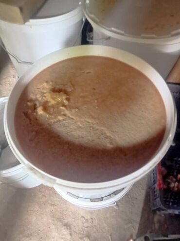 продукты оптом: Чистый мёд горный Джалал-Абад (Арсланбоп)