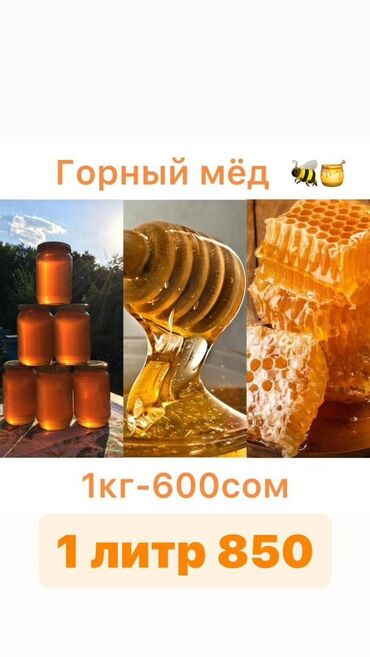 продаю мёд: Продаю горный мёд 🍯 разнотравье, оптом 500с и в розницу 600