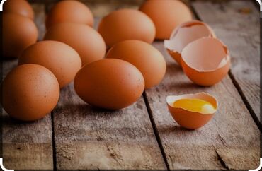 колонки яица: Яйца по выгодным ценам с1 по 7 сом с доставкой, свежие яица