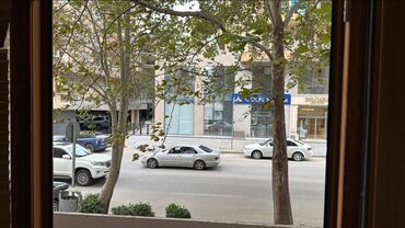 Ofislər: İCARƏYƏ VERİLİR. OFİSTƏHSİL MƏRKƏZLƏRİGÖZƏLLİK SALONU və.s — 11