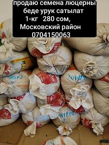 кофе 3 в 1: Семена люцерны. - Культура: люцерна (семена для посева) - Фасовка — 1