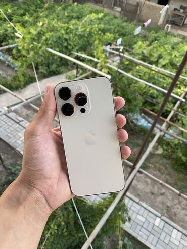 12 про макс цена бишкек бу: IPhone 14 Pro, Колдонулган, 256 ГБ, Rose Gold, Куту, Заряддоочу түзүлүш, Каптама, 88 %