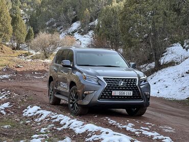 lexus 360: Lexus GX: 2020 г., 4.6 л, Автомат, Бензин, Внедорожник