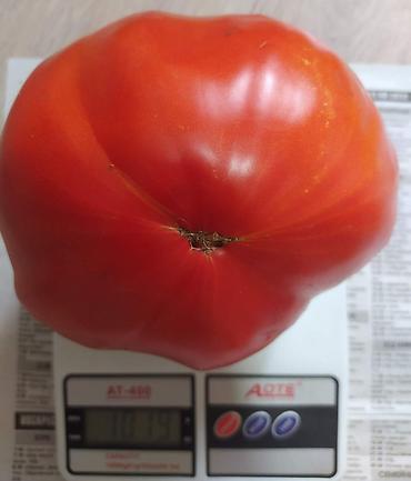 Томат: Семена помидор жёлтые красные. находится в Пригородном.( не для поля — 8