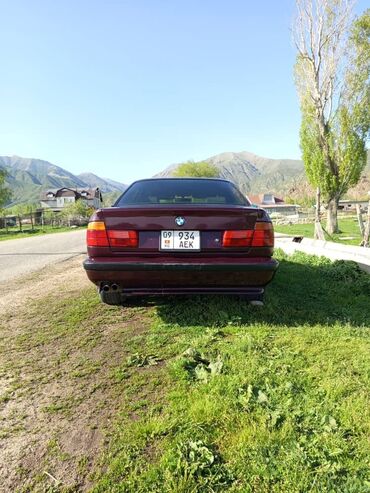 BMW: BMW 525: 1993 г., 2.5 л, Механика, Бензин, Седан