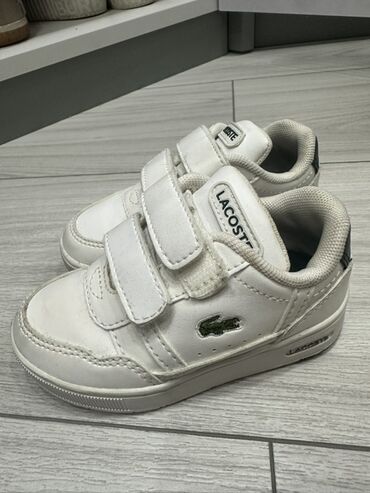 детские высокие ботинки: Кроссовки, Унисекс, 22, Lacoste