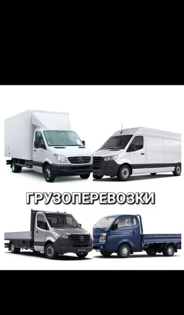 Портер, грузовые перевозки: Бус, Переезд, перевозка мебели, По региону, По городу, с грузчиком