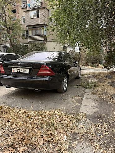 ешка 220: Mercedes-Benz S-Class: 2004 г., 5 л, Автомат, Бензин, Седан — 6