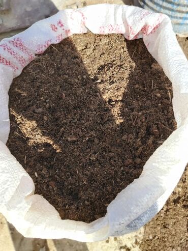 Bağbanlar: Profesional bağban xidməti ağac və kolların əkilməsi budanması -da lalafo.az — 23 Bağbanlar: Profesional bağban xidməti ağac və kolların əkilməsi budanması — 23