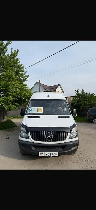 rex sprinter: Пункт назначения: Все направления, Количество мест: 18, Лицензия №: 08B006116 — 2