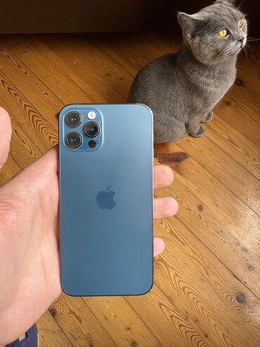 Apple iPhone: IPhone 12 Pro, 256 GB, Blue Titanium