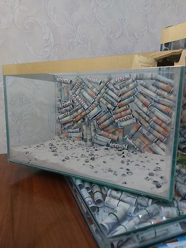 ceyran buynuzu: 70×45×25 bõyük olan.Balaca olan 50×30×25. isdədiyiviz õlçû sifariş — 5