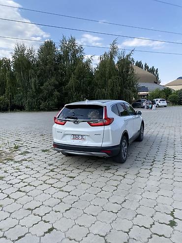 хонда crv 2019: Honda CR-V: 2019 г., 1.5 л, Вариатор, Бензин, Кроссовер — 2