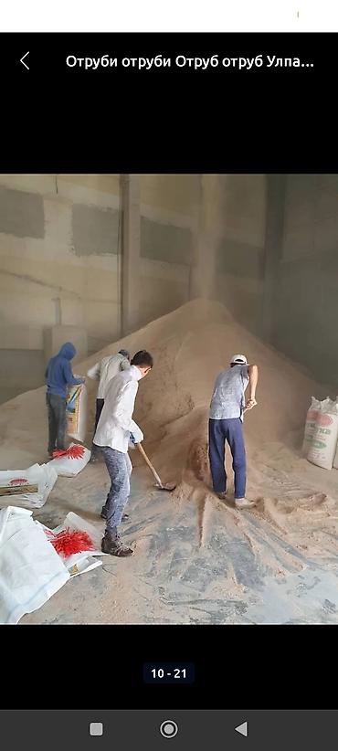 Корма для с/х животных: Улпак отруби кебек оптом - Натуральные отруби крупного и среднего — 12