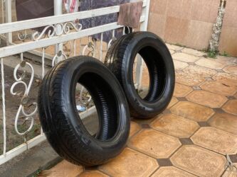 шина трактора: Шиналар 195 / 60 / R 15, Жай, Колдонулган, Жеңил унаалар, Германия, Pirelli lalafo.kg да шина трактора: Шиналар 195 / 60 / R 15, Жай, Колдонулган, Жеңил унаалар, Германия, Pirelli