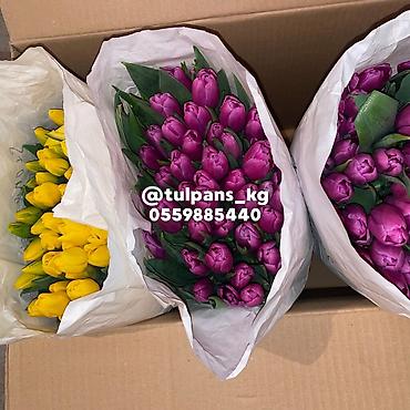 Цветы и букеты: СВЕЖИЕ тюльпаны к 8 Марта 🌷 Голландские луковицы 🇳🇱 | 40–50 см Опт и — 8