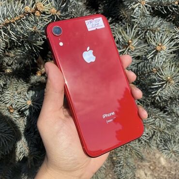 Электроника: IPhone Xr | 64 ГБ | Красный